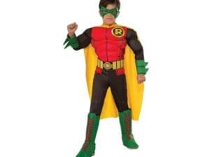 Deluxe Robin Child Halloween Costume