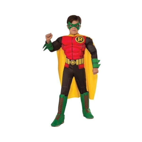 Deluxe Robin Child Halloween Costume