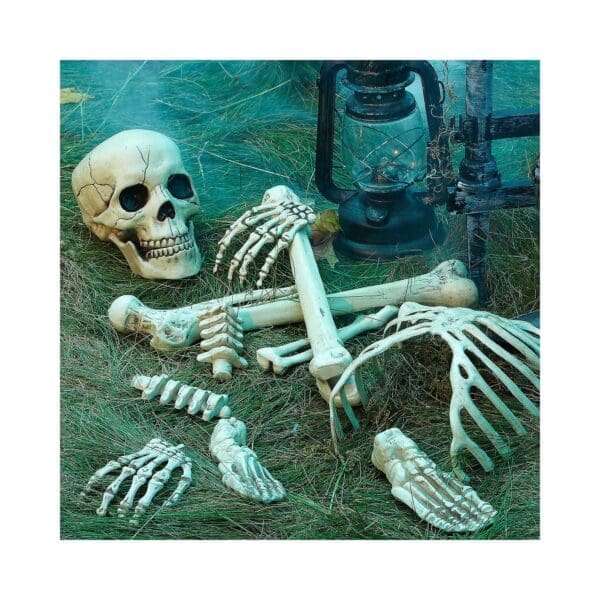 Bag of Bones