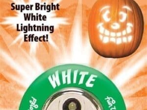 Fun World Pumpkin Pro Prelit Pumpkin Strobe Lights