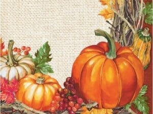 Club Pack of 192 Green and Orange Plentiful Harvest 2-Ply Beverage Square Napkins 10"