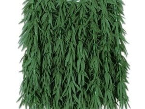 Tropical Fern Leaf Hula Skirt