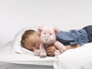 Warmies Cozy Pig Scented Plush