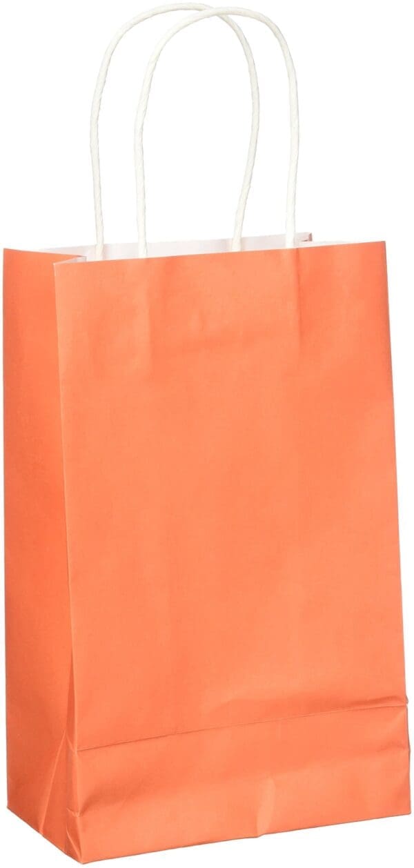 Orange Solid Kraft Bag Cub