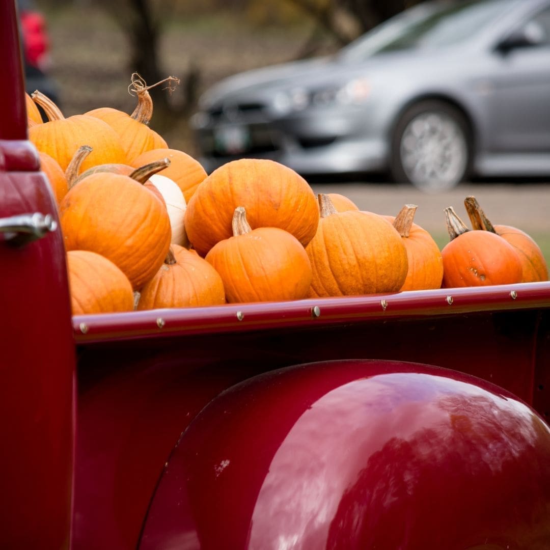 Fall Fun and Fantastic Foliage