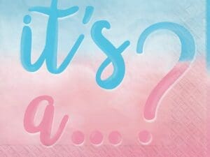 The Big Reveal Beverage Napkins (16ct)