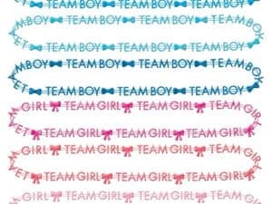 The Big Reveal Necklaces (10ct)