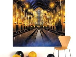 Harry Potter Back Drop