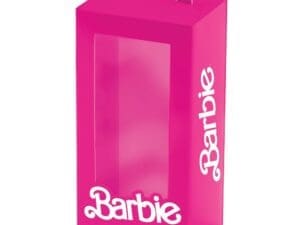 Malibu Barbie Favor Boxes (4pk)