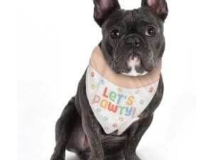 Pawsome Party Dog Bandana