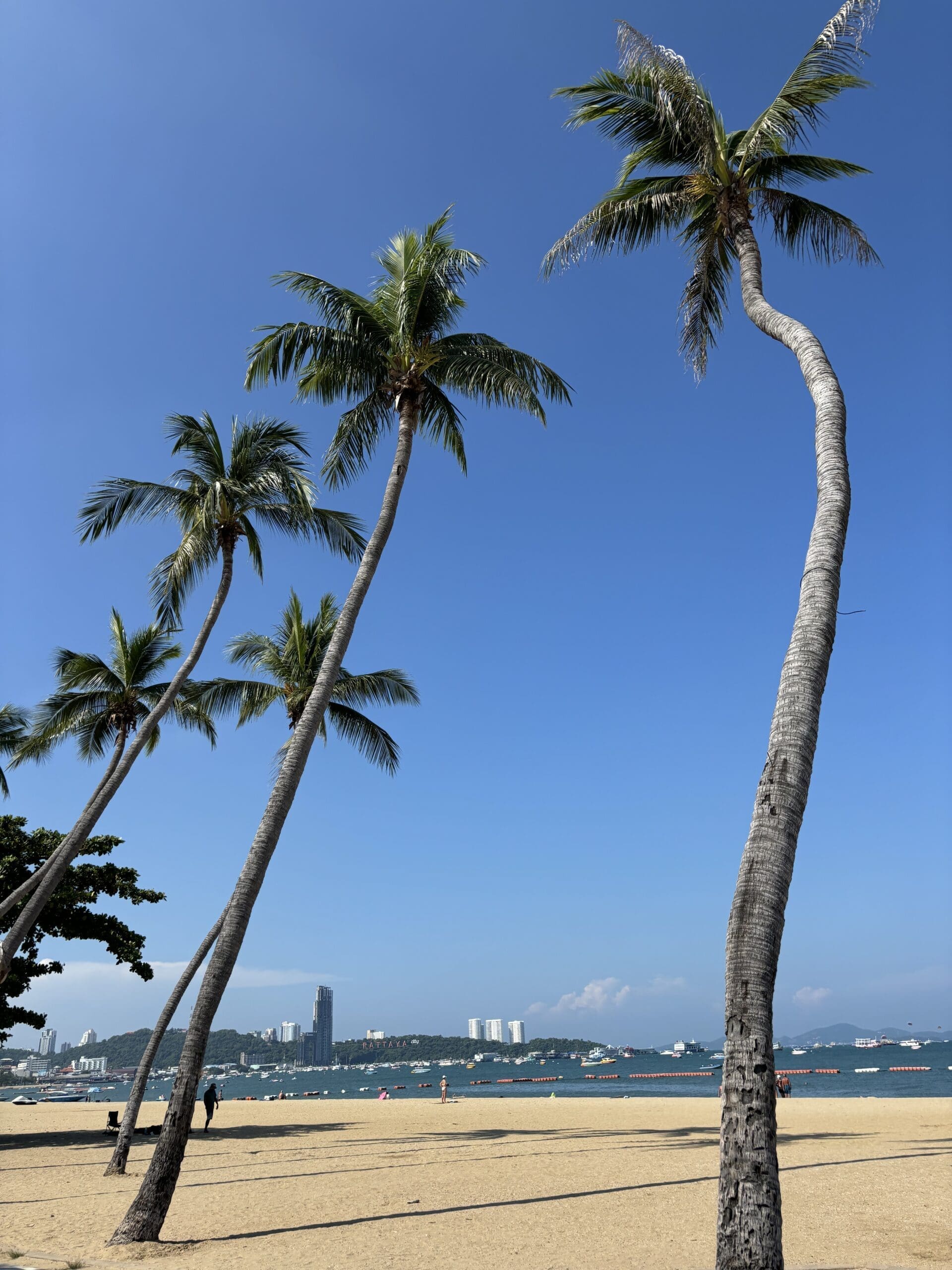 A Thailand Paradise Birthday