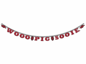 Wooo Pig Sooie Banner