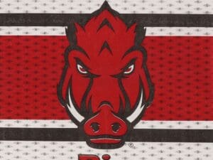 Lunch Napkin University of Arkansas