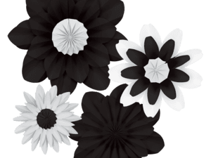 Black and White Paper Flowers