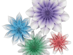 Floral Bloom Paper Flowers