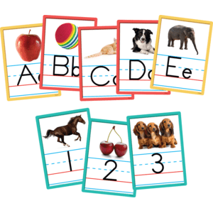 Alphabet and Numbers Accents