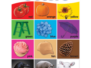 Colorful Colors Chart