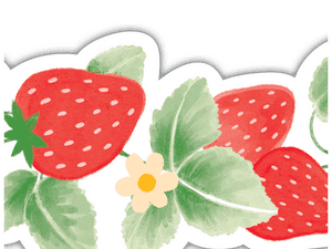 Strawberry Patch Die-Cut Border Trim