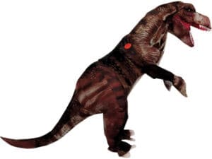 Real Photo Inflatable Raptor