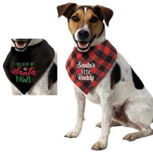 3902507 DOG BANDANA SANTAS LITTLE BUDDY