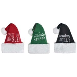 251248 SANTA HAT ASST