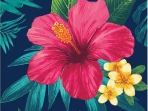 374060 TROPIC TIME BN
