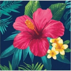 374060 TROPIC TIME BN