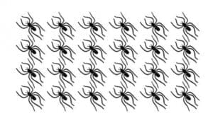 394304 CLIP ON SPIDERS