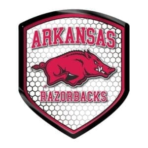 62910 REFLECTOR ARK