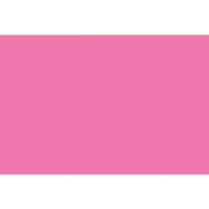 5031 posterboard flourescent pink